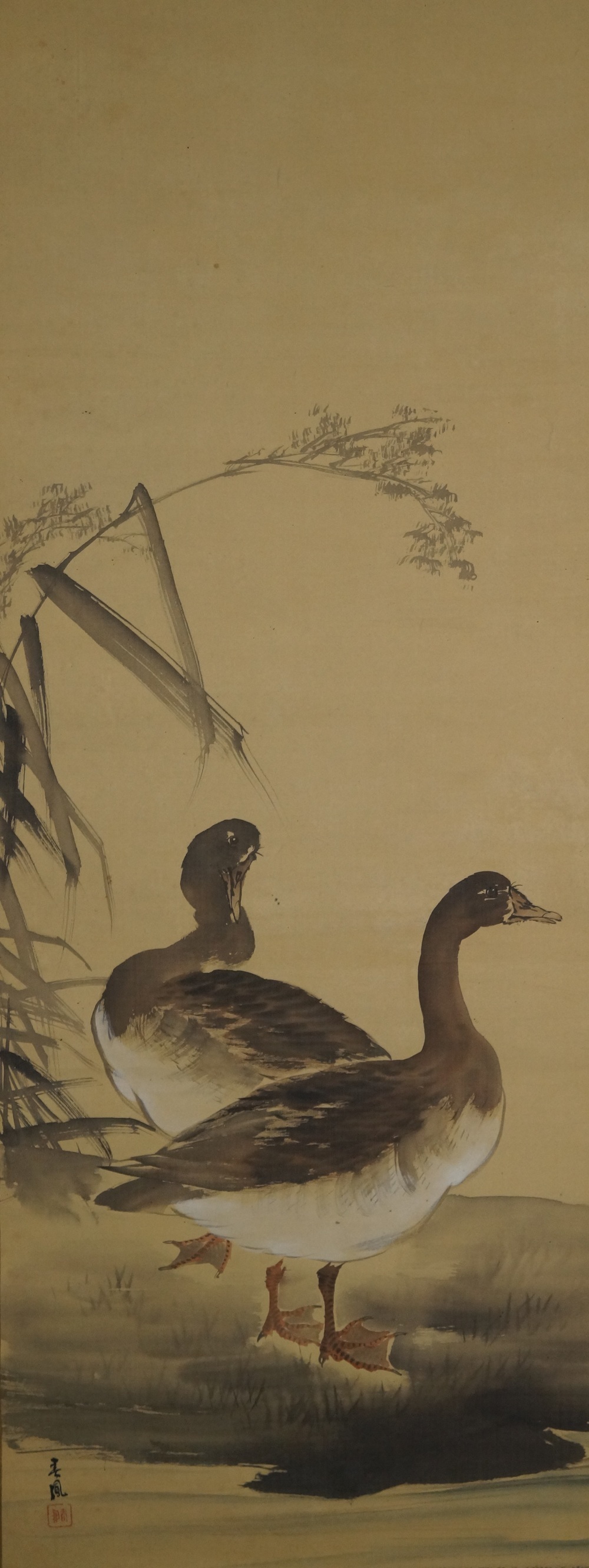 Zwei Enten Rollbild Gesamtmotiv ohne Rahmung
