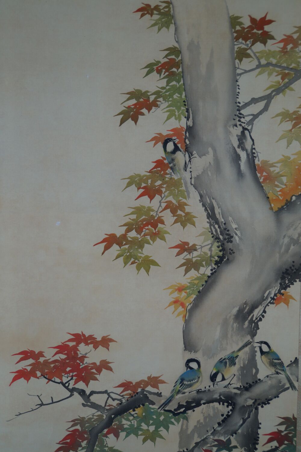 Further view of the full motif with tree trunk, several birds, and maple leaves in the hanging scroll Birds in Autumn Maple, without mounting