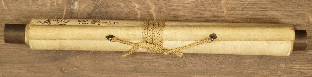 Schnecke auf der Lotusblume zusammengerollt