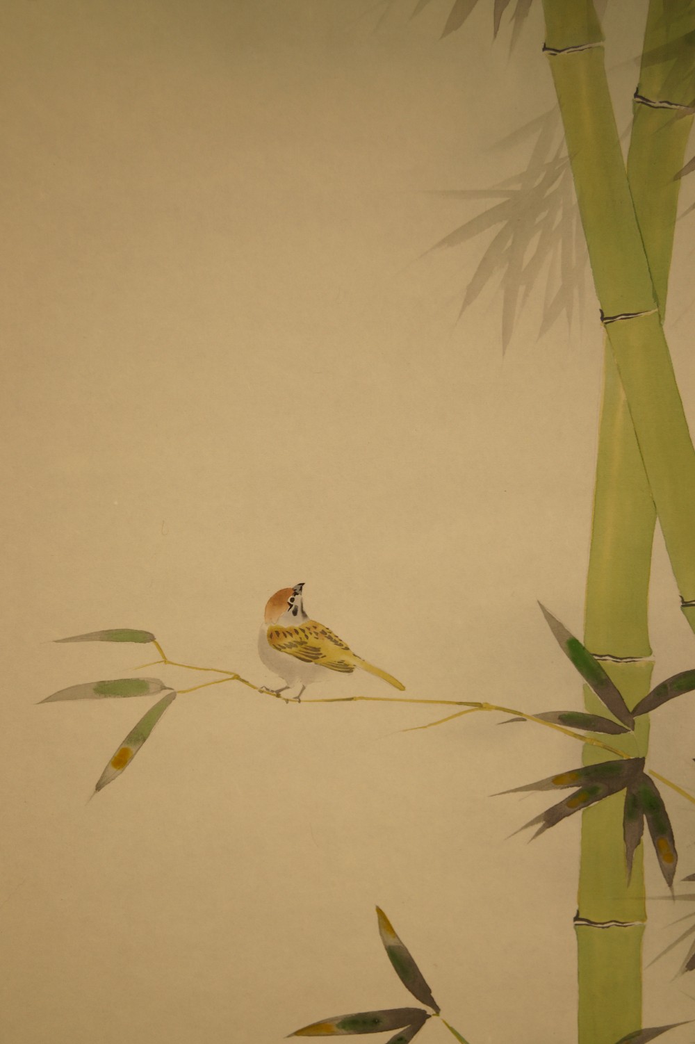 Sparrows on Bamboo Bush Sparrow Close-Up 1