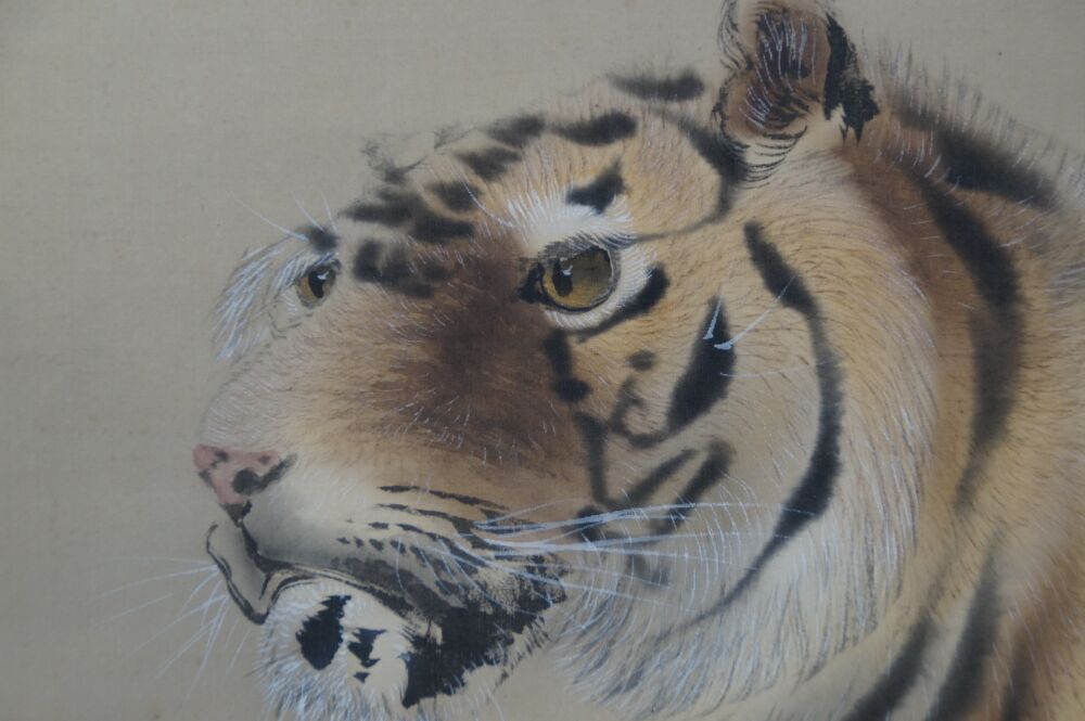 Close-up of the tiger's head with eyes and whiskers in the Kakemono Tiger on Rocks