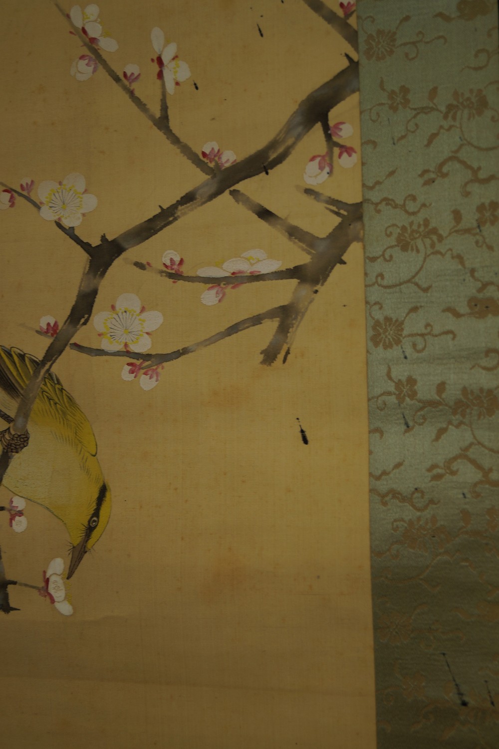 Bird and Plum Blossoms by Hiroshi Matsuda Blossom Motif Close-Up 3