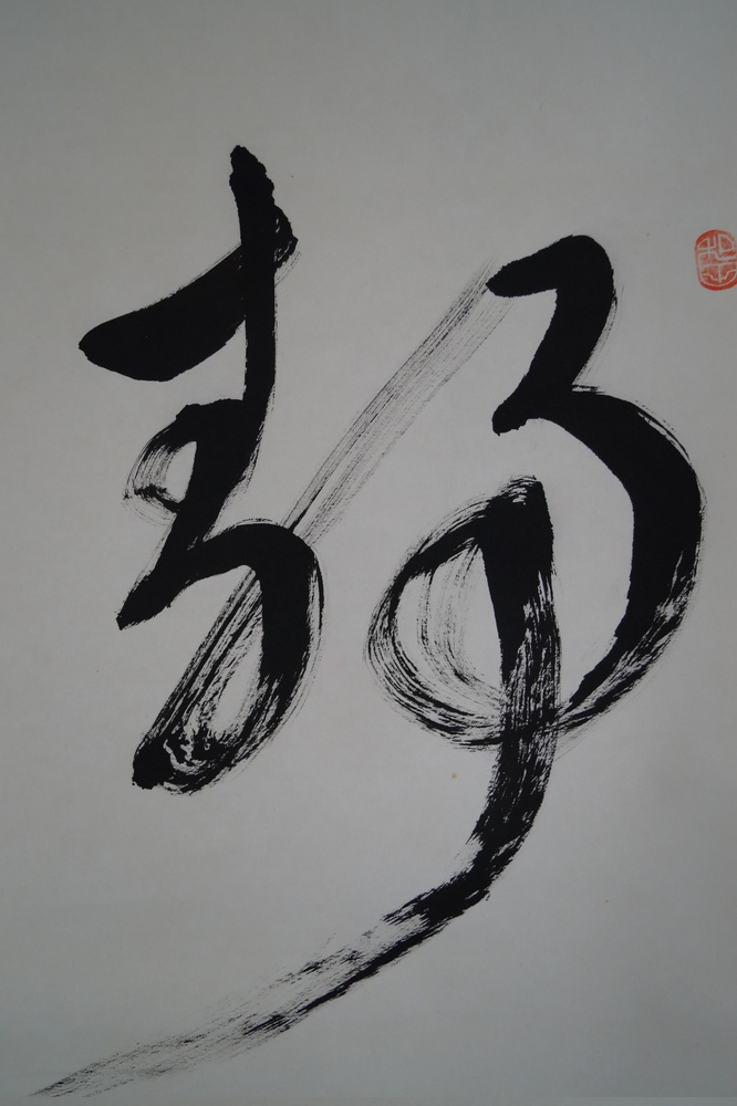 Bodhidharma Daruma Kakejiku Calligraphy Close-Up