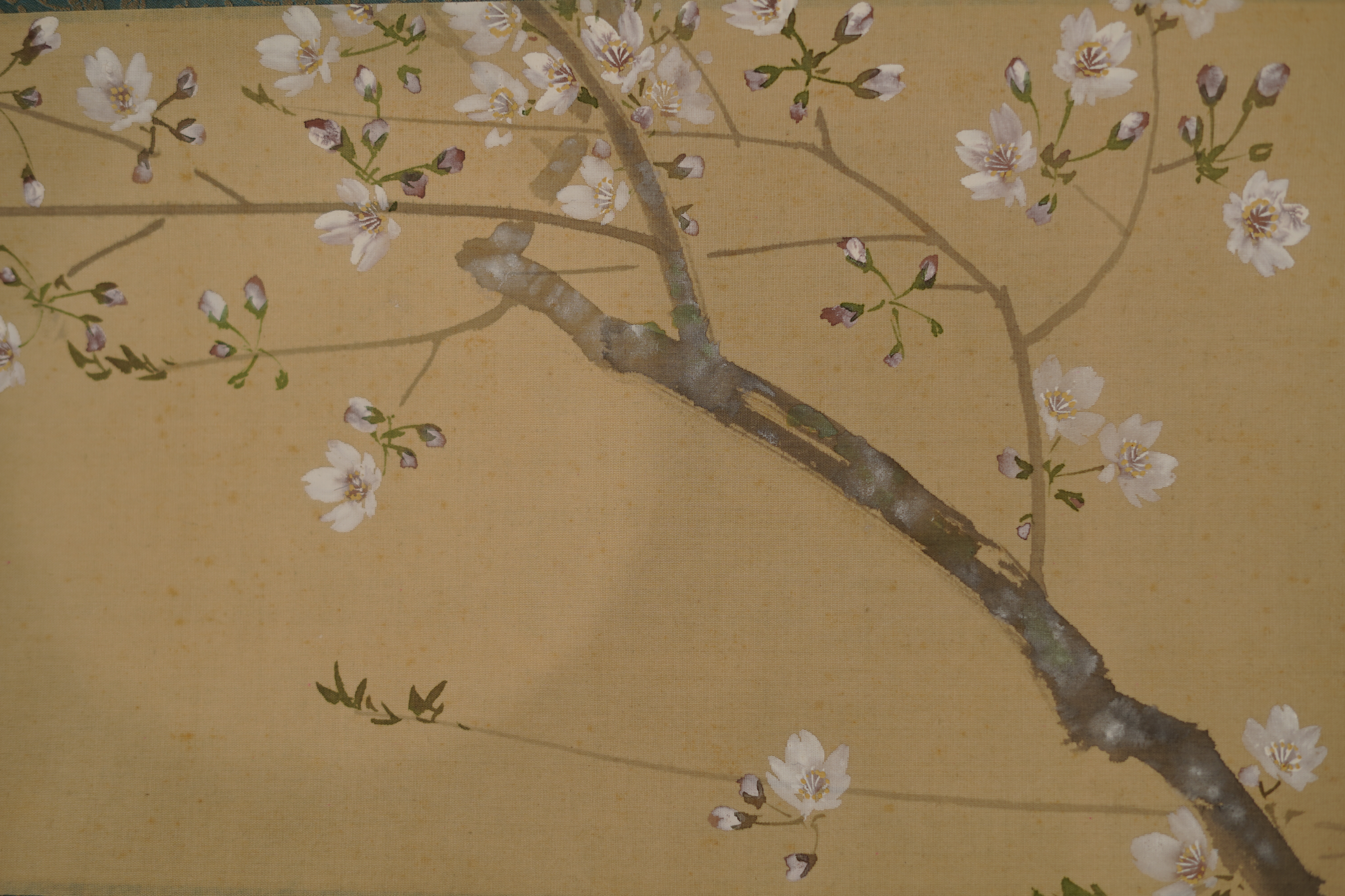 Detail view of the branch knot with surrounding cherry blossoms in the Kakemono Hanging Cherry Blossoms