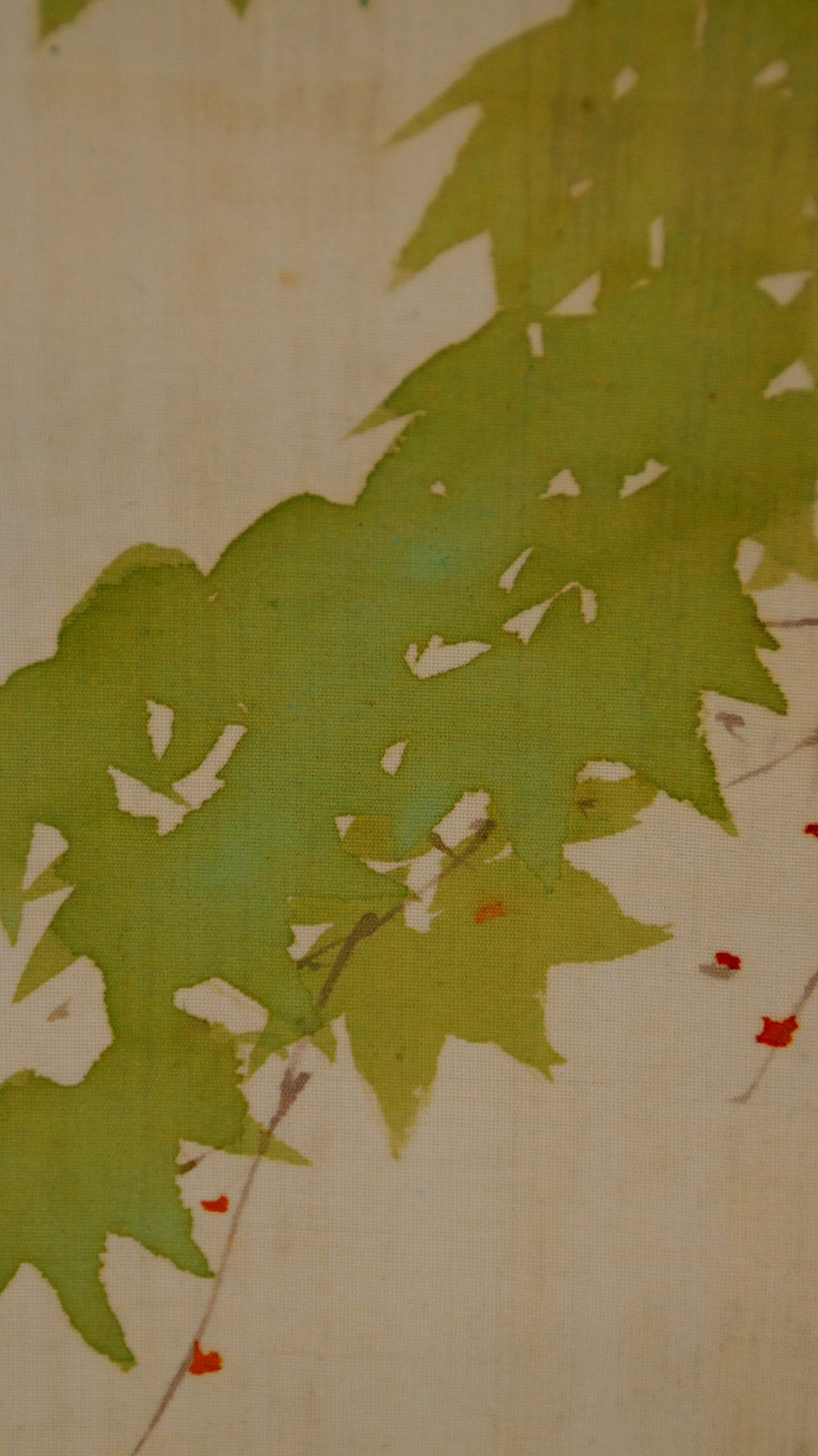 Close-up of the light green maple leaves with scattered red samaras
