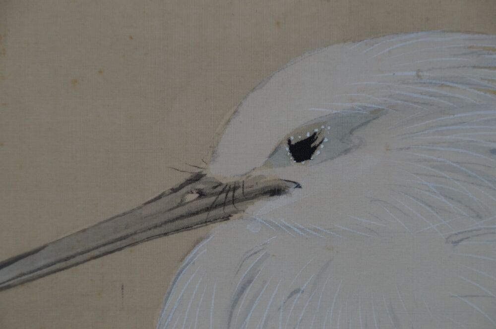 Close-Up of the Head and Beak of the White Heron in the Hanging Scroll