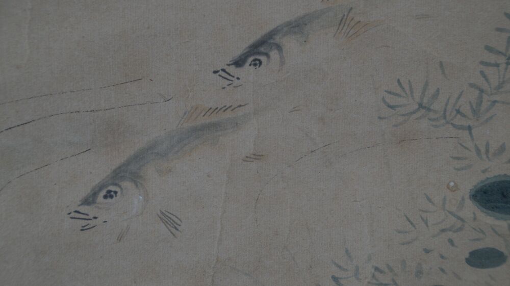 Extreme Nahaufnahme der Fischkoepfe im Kakemono Schwaerme im klaren Wasser