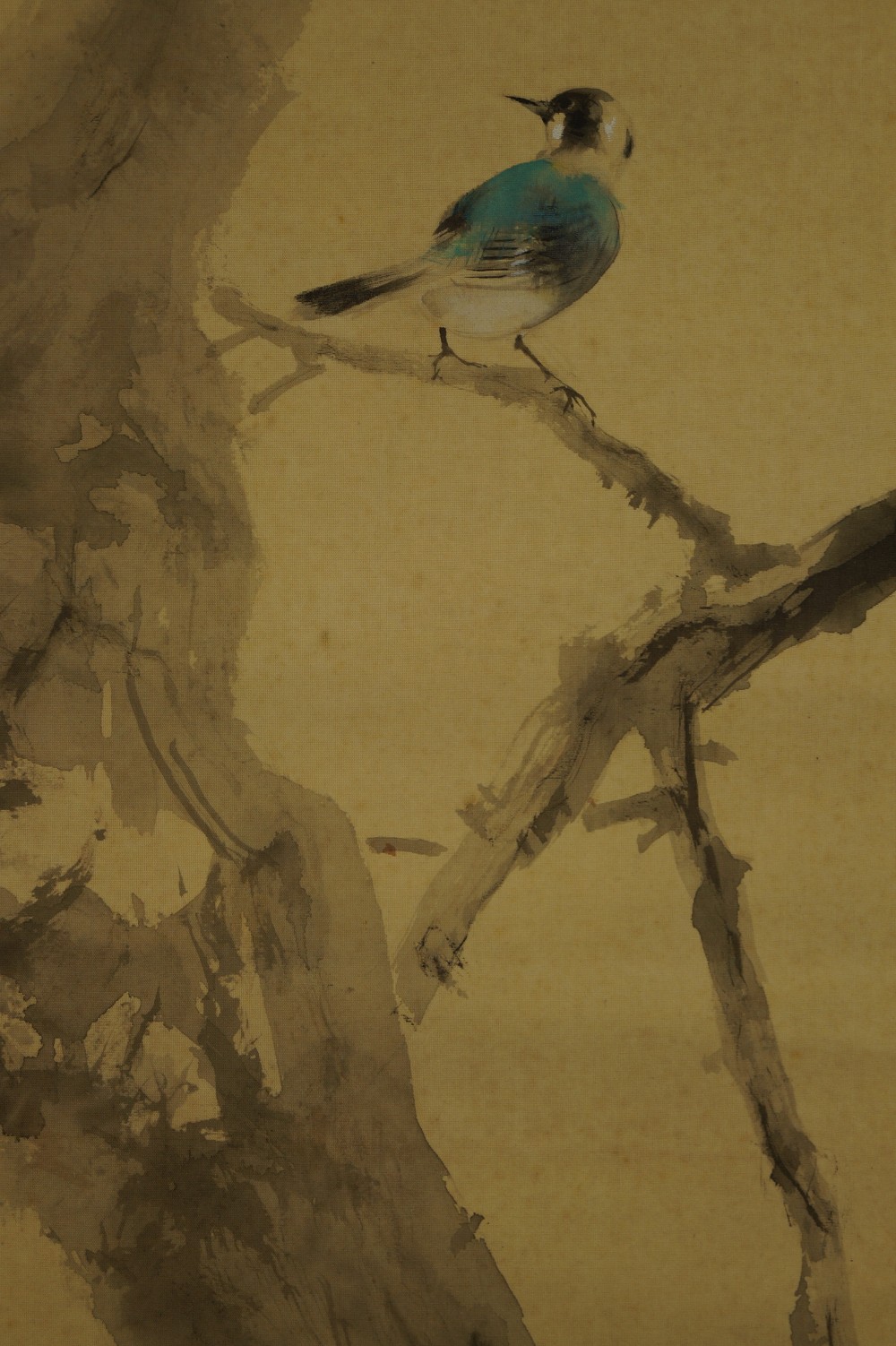 Bird on a Persimmon Tree Bird Motif Close-Up 1