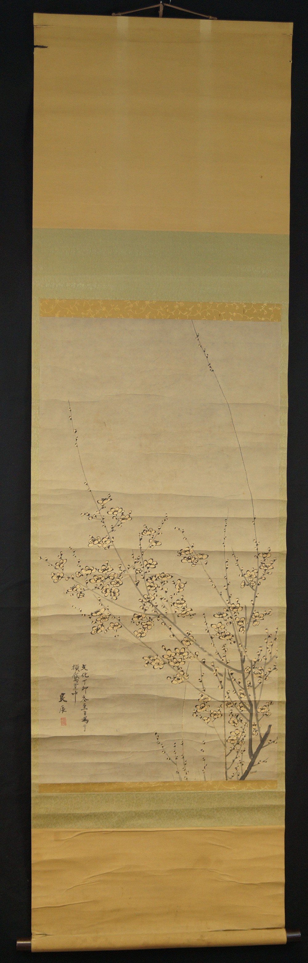 Sakura full view of hanging scroll