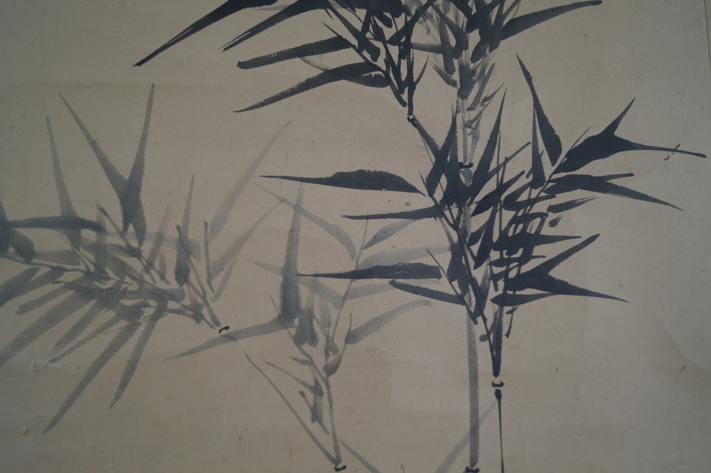 Bamboo Close-Up 2
