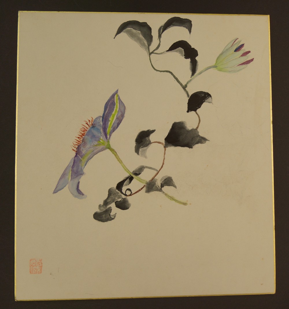 Shikishi Blume Gesamtmotiv