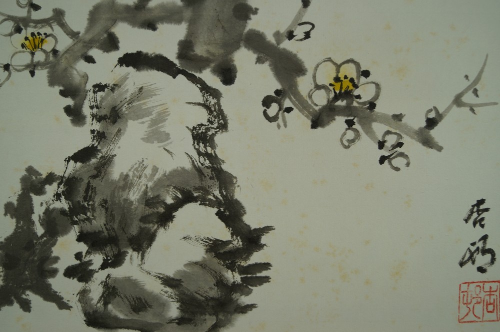 Plum Tree Plum Blossom Close-Up 1