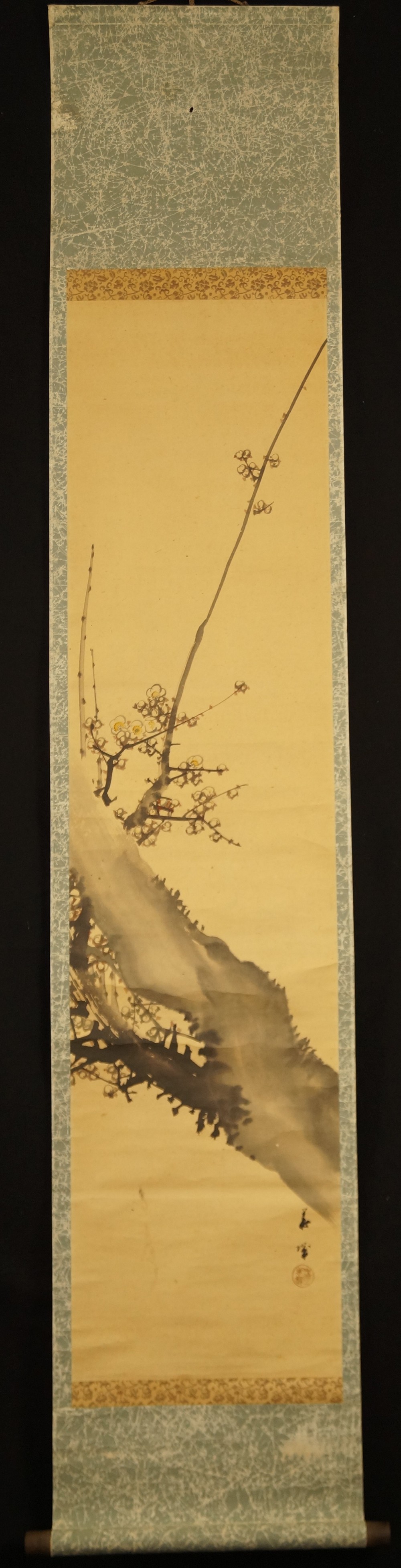 Sakura full view hanging scroll