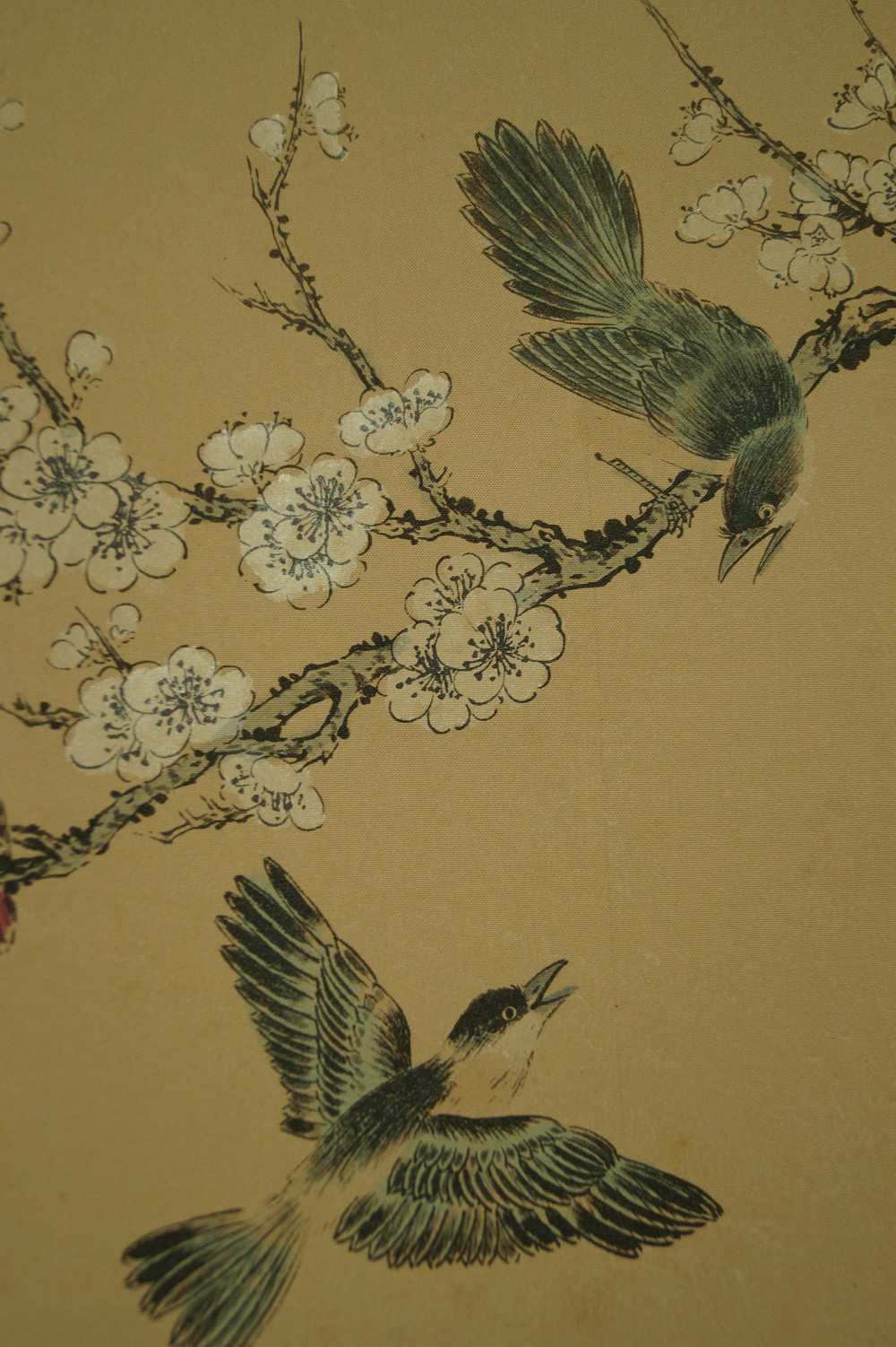 Hanging Scroll Peonies and Cherry Blossoms Birds Motif Close-Up 3