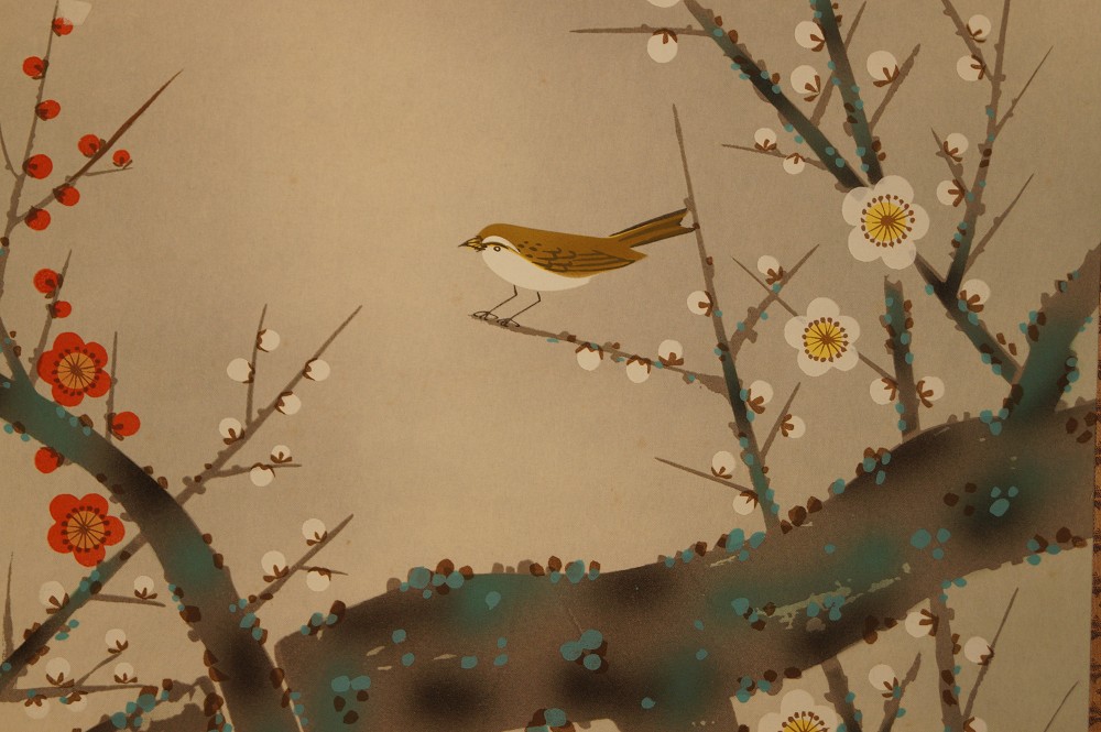 Nightingale on Sakura Branch Nightingale Close-Up 1