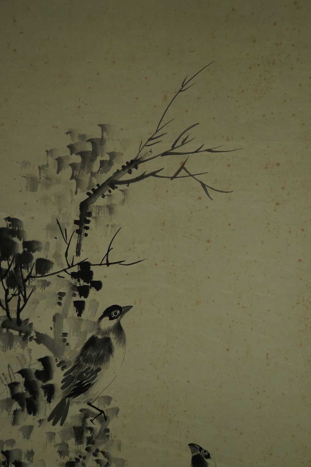 Close-up of the two birds perched on different branches