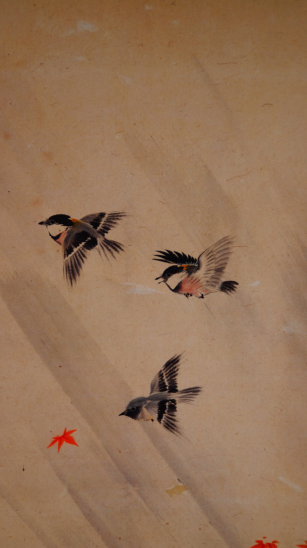 Autumn Flight in Morning Light Hanging Scroll by Manjo Kajo Birds Motif Close-Up