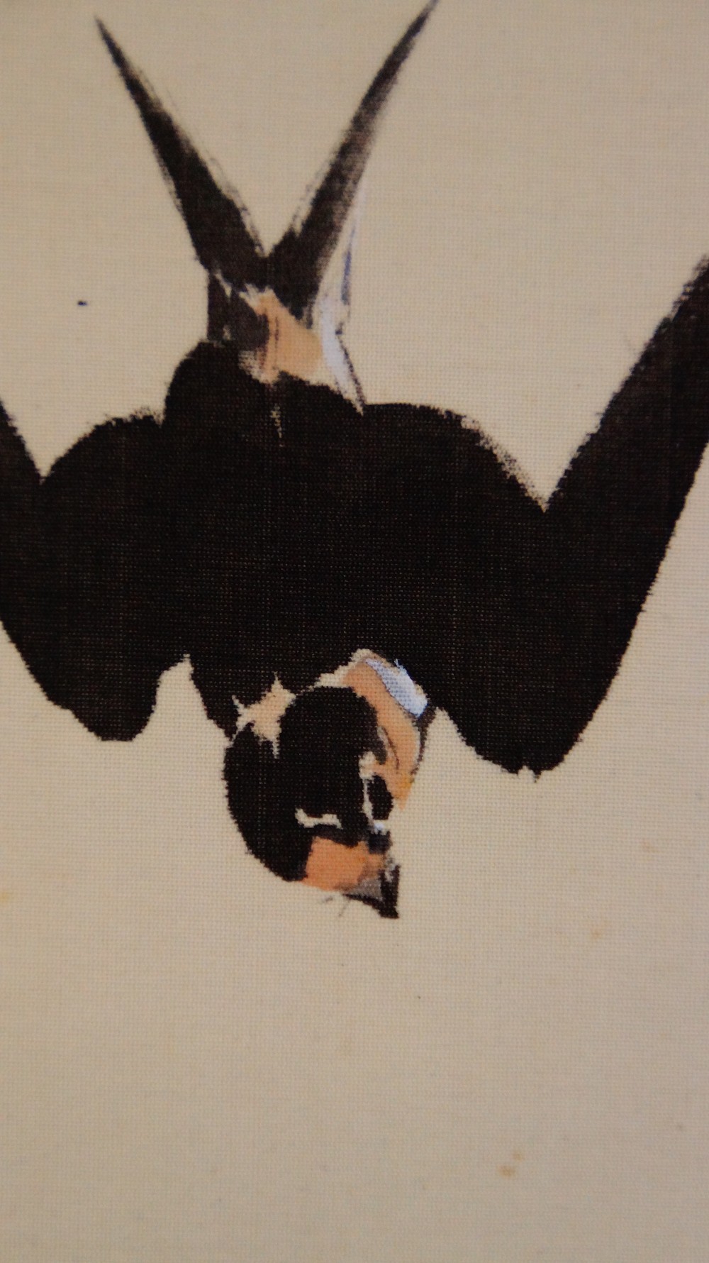 Further Close-Up of the Swallow Depicted in a Steep Dive