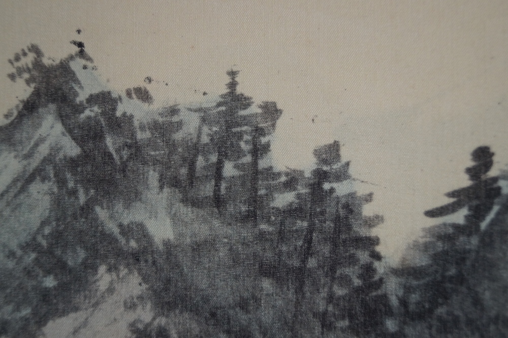 Berglandschaft Kiefernreihe Nahaufnahme