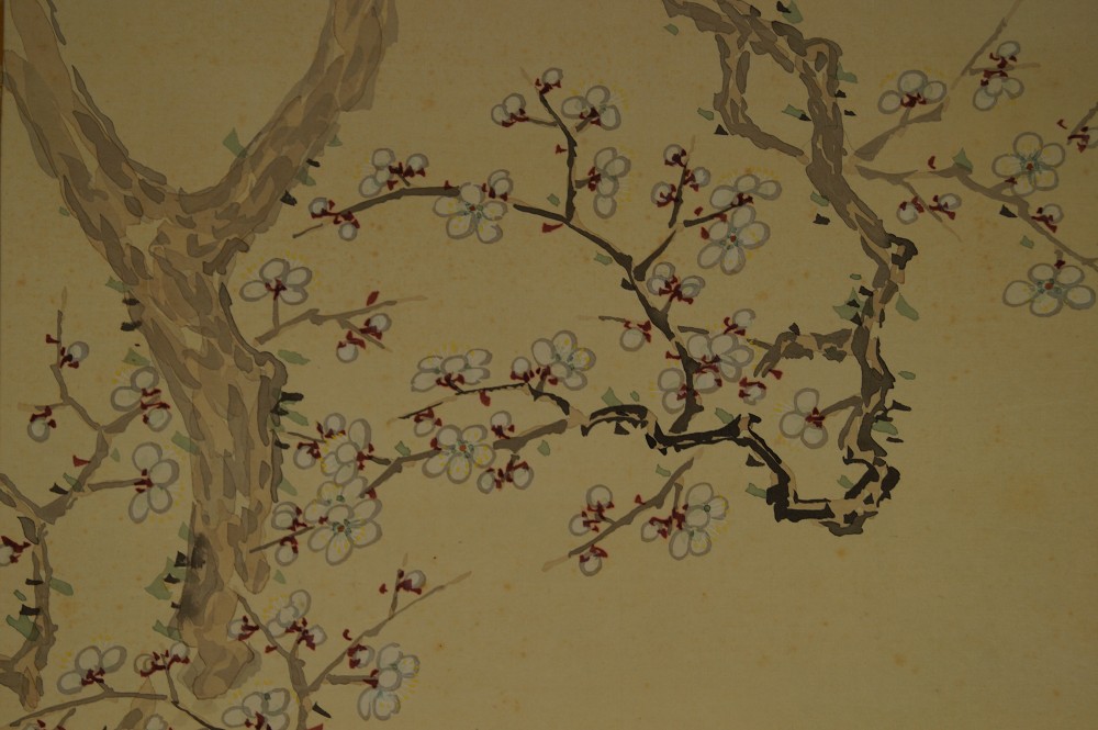 Sakura Blossom Branch Close-Up 1