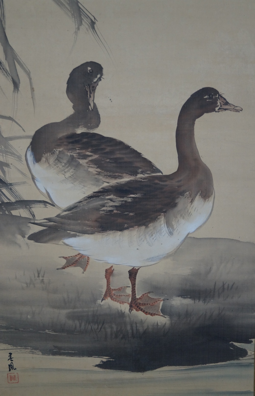 Zwei Enten - Japanisches Rollgemälde (Kakejiku)