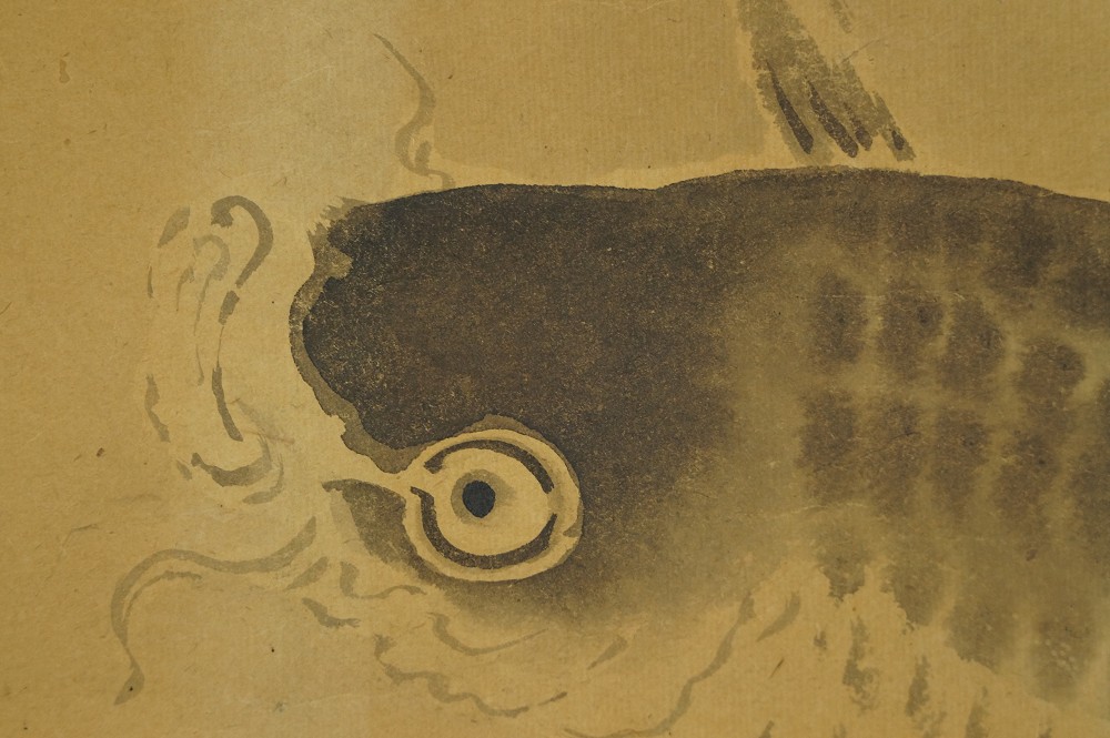 Koi Hanging Scroll Koi Motif Close-Up