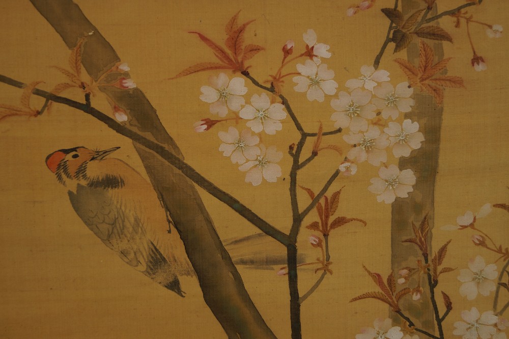 Woodpecker on Cherry Tree Bird Motif Close-Up 2