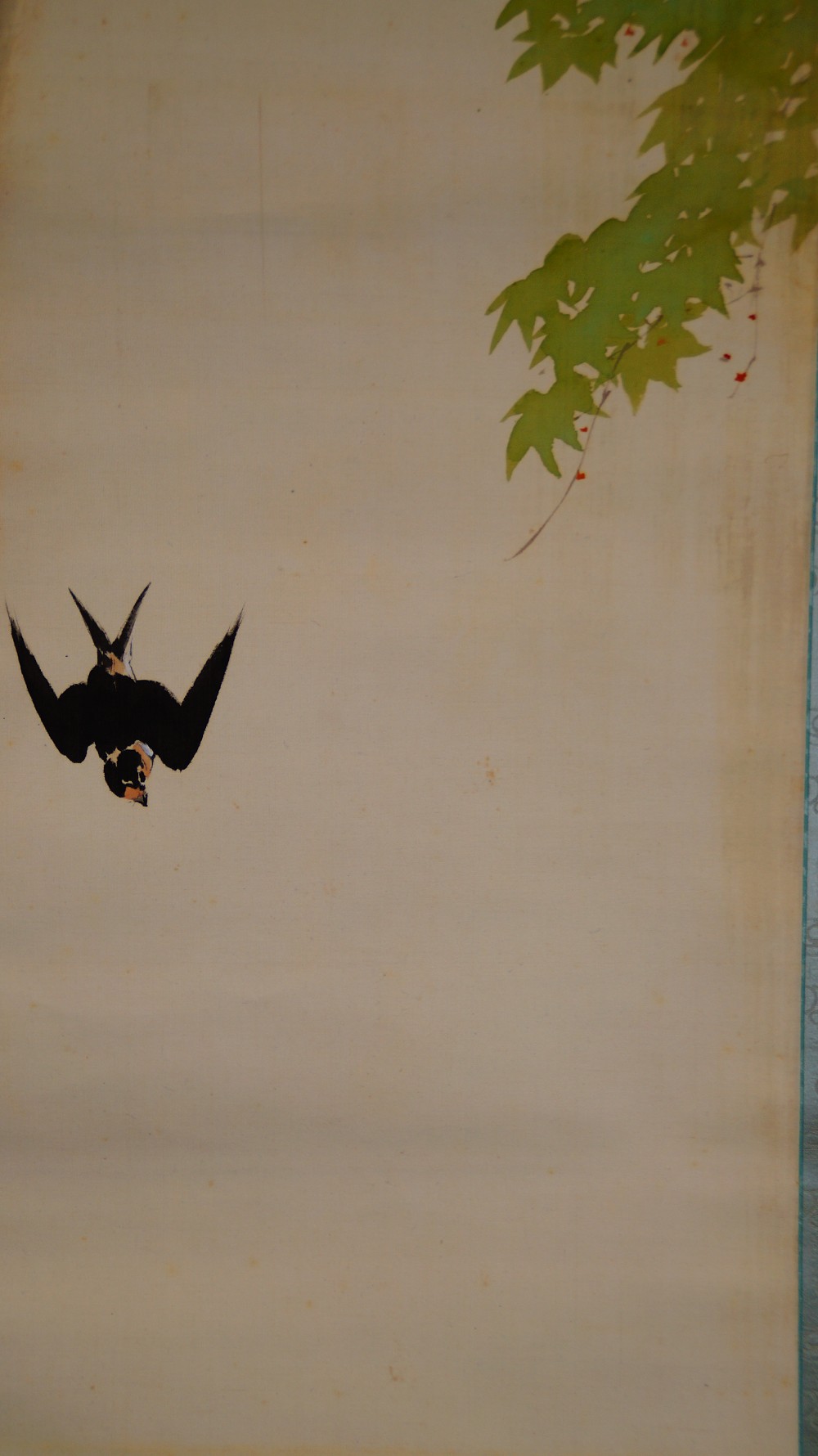 Close-up of the swallow diving in front of the waterfall