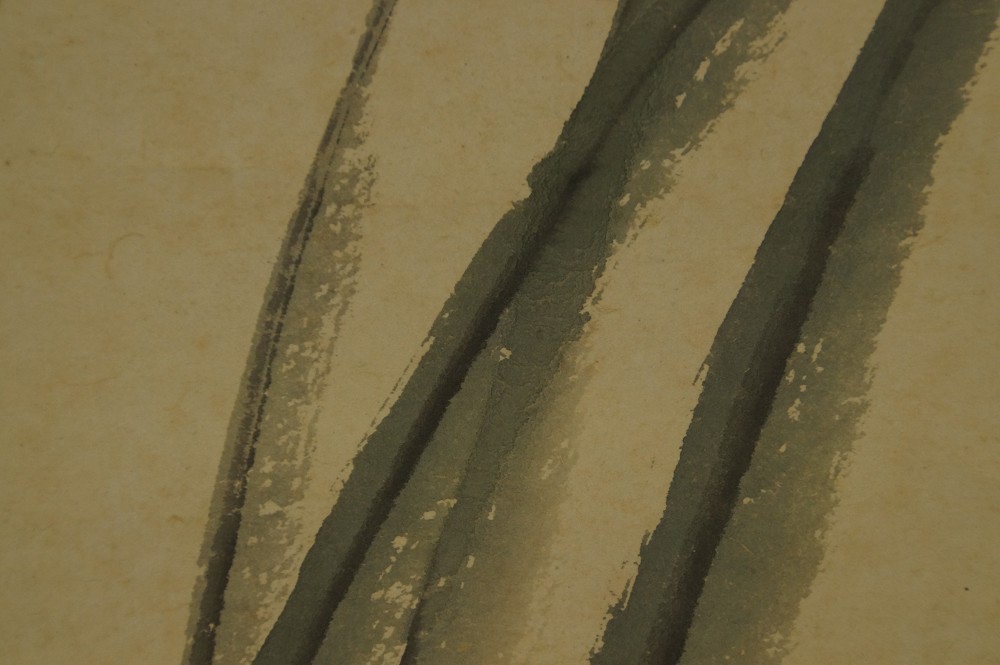 Additional close-up of the slender grass blades bending in the wind