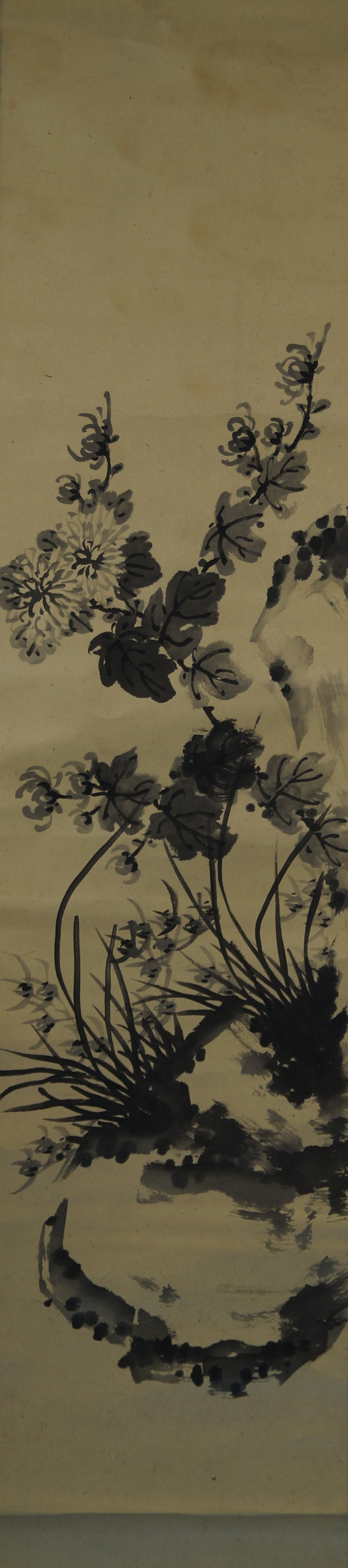 Chrysanthemum hanging scroll full motif without mounting
