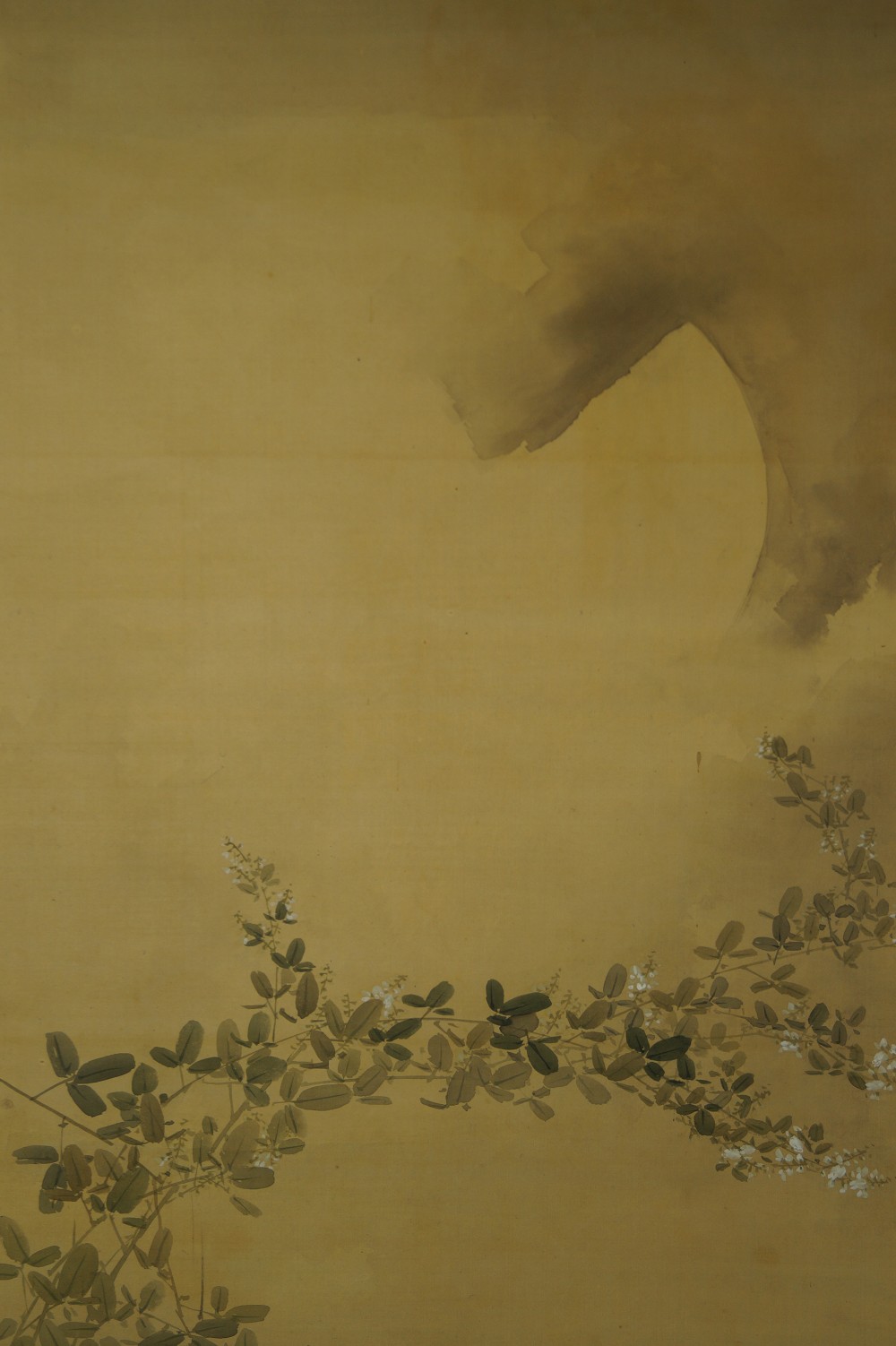 Hanging scroll raccoon dog moon motif close-up