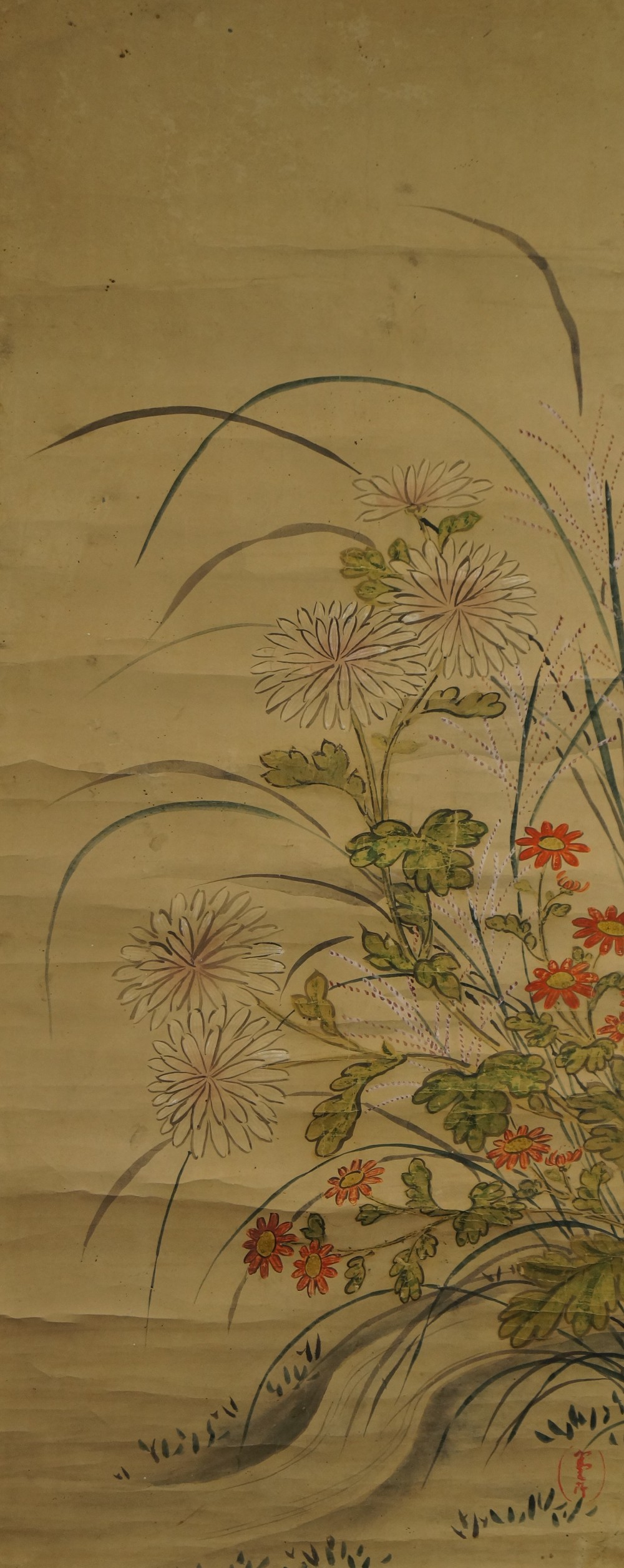 Japanese hanging scroll chrysanthemums full motif without mounting