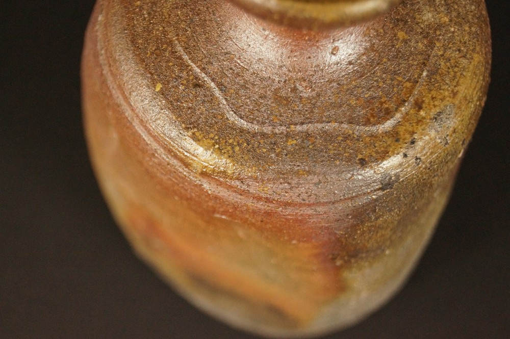 Bizen Tokkuri by Harada Totsuki Motif Close-Up