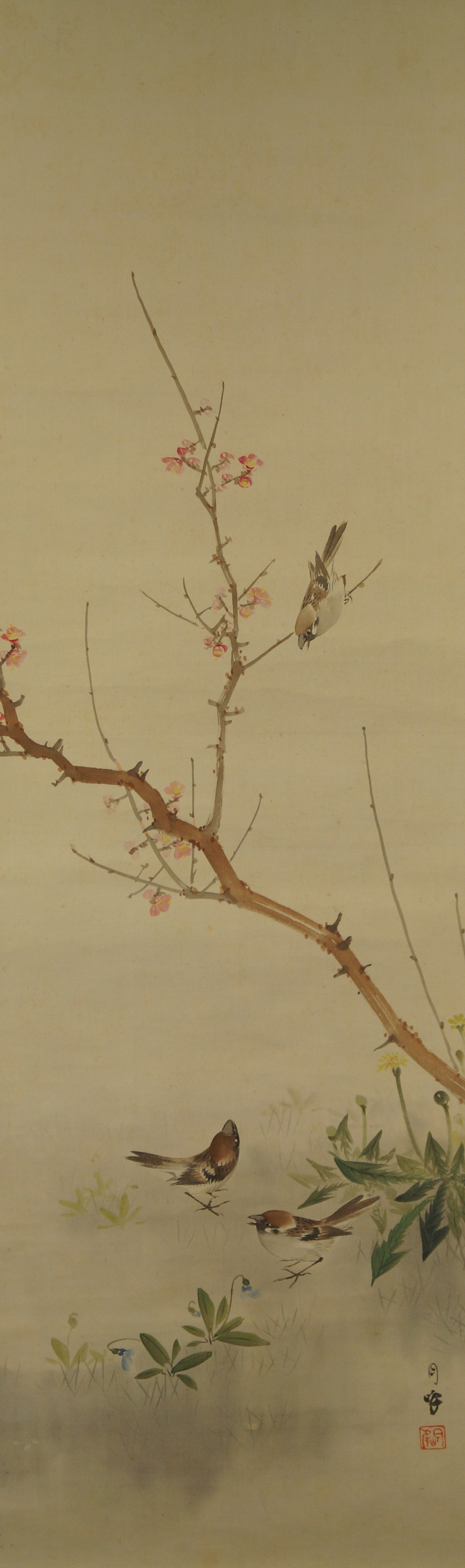 Sparrows on plum tree branch full motif without mounting