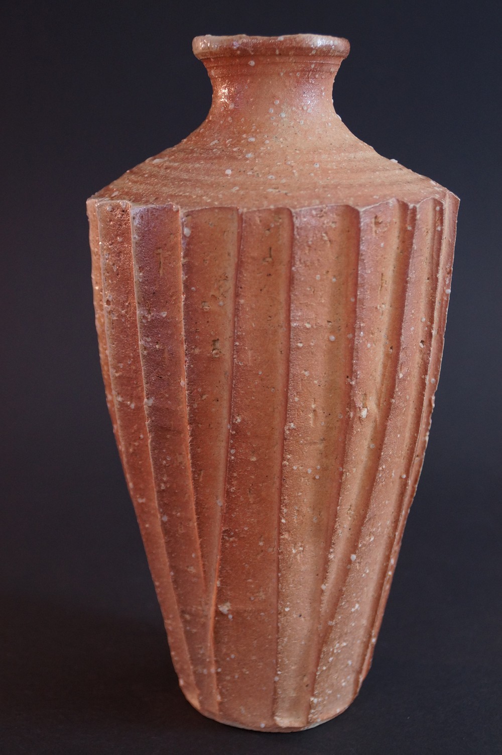 Shigaraki Vase by Takahashi Rakusai Side View 1