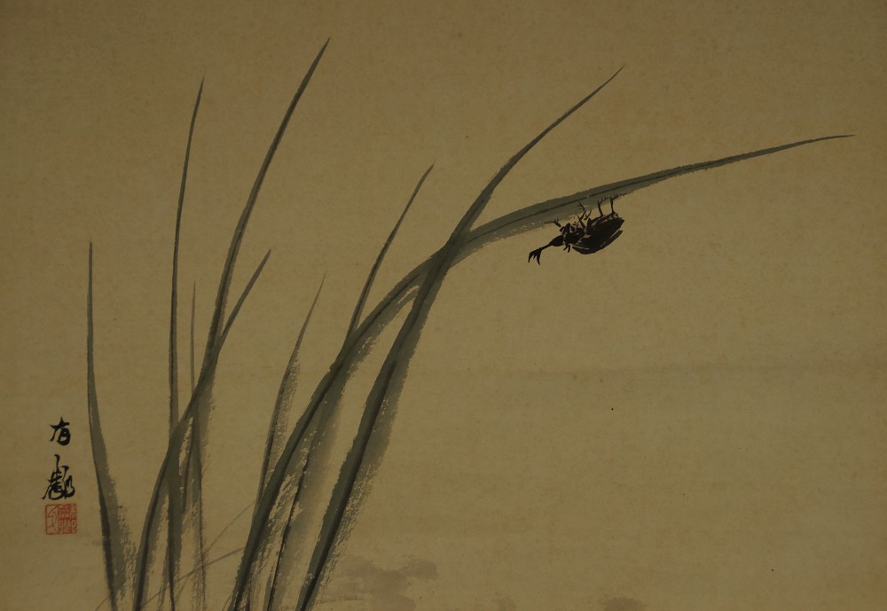 Full motif of the rhinoceros beetle in tall grass without frame