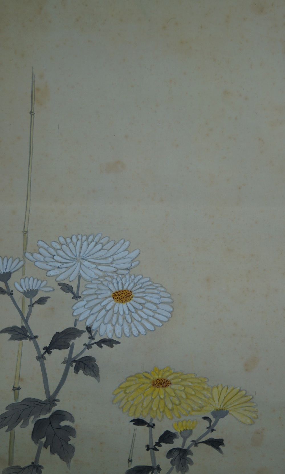 Huehner und Chrysanthemen Chrysanthemen-Motiv Nahaufnahme