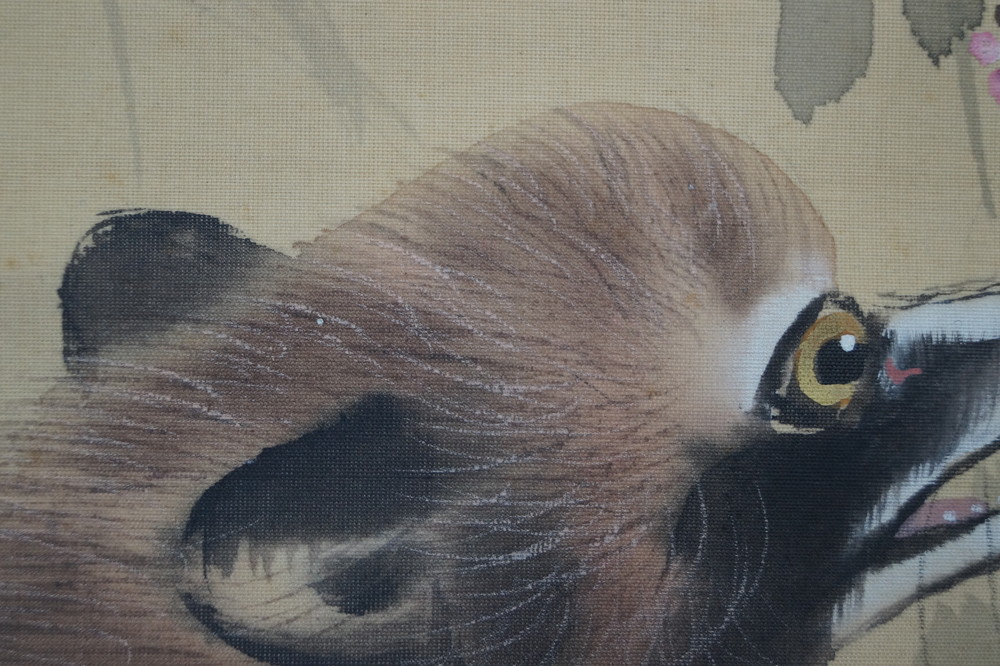 Two Raccoon Dogs and Full Moon Raccoon Dogs Close-Up 3
