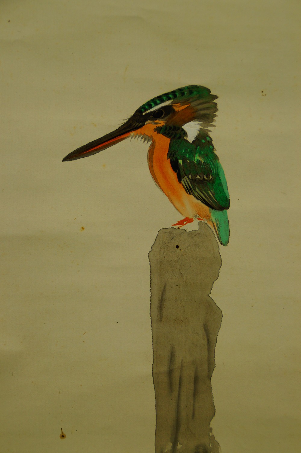 Kingfisher by the River by Daiya Kingfisher Motif Close-Up