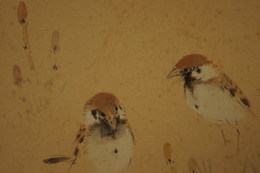 Shikishi Zwei Spatzen Spatz-Motiv Nahaufnahme 1