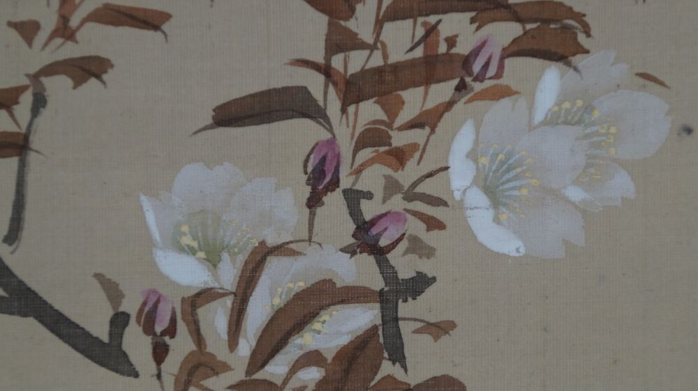 Further close-up of the cherry blossoms and buds in the kakemono Singing Bird on Cherry Blossom Branch