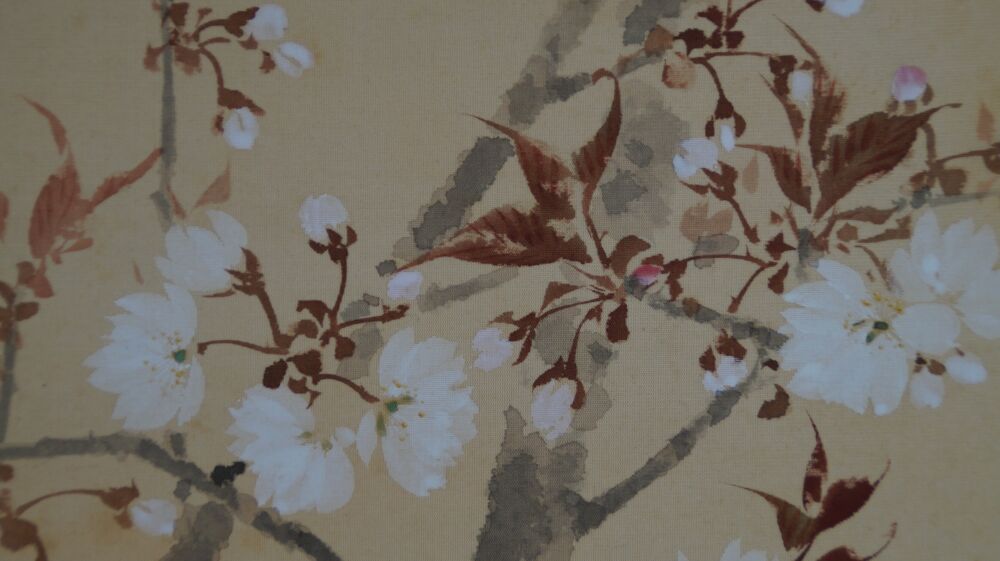 Close-up of the white cherry blossoms with reddish-brown leaves in the hanging scroll Spring at the Old Cherry Tree