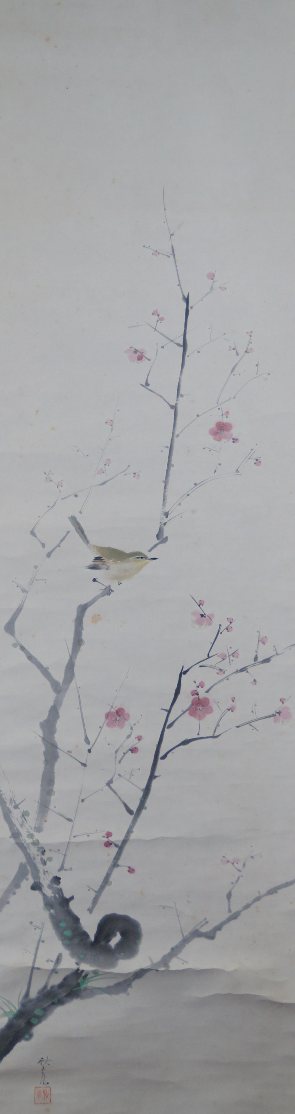 Nightingale on Blooming Plum Branch by Yoshida Shuko with Pink Plum Blossoms in Front of Moss-Covered Branches