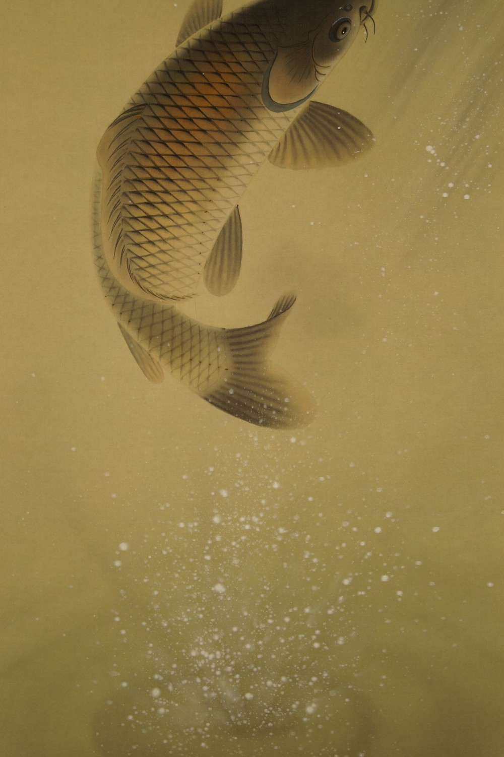 Koi at the Waterfall hanging scroll koi motif close-up 2