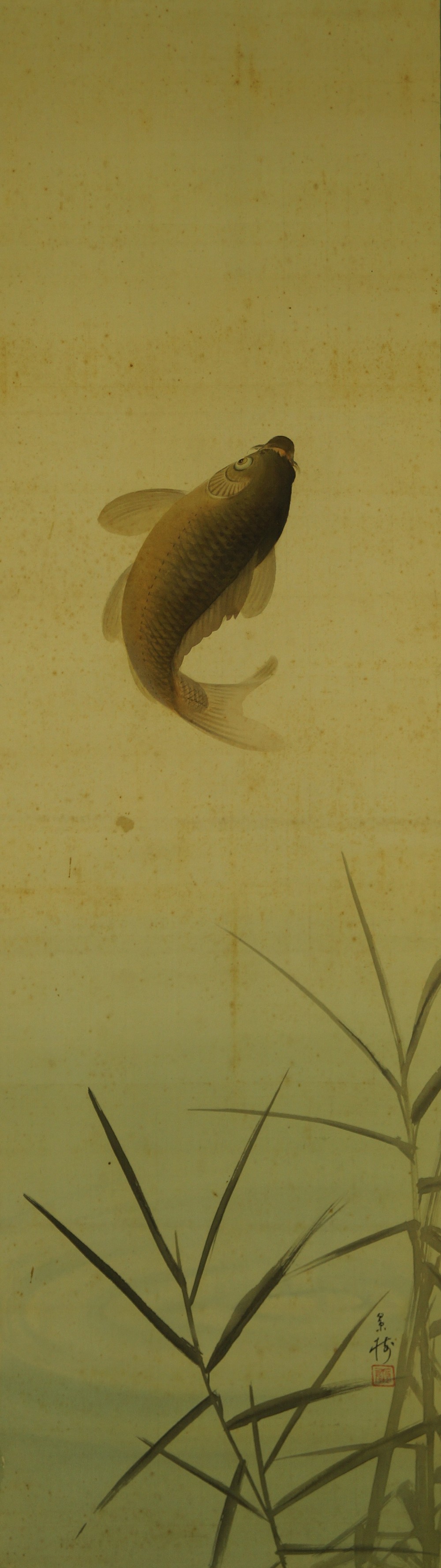 Koi full motif without framing