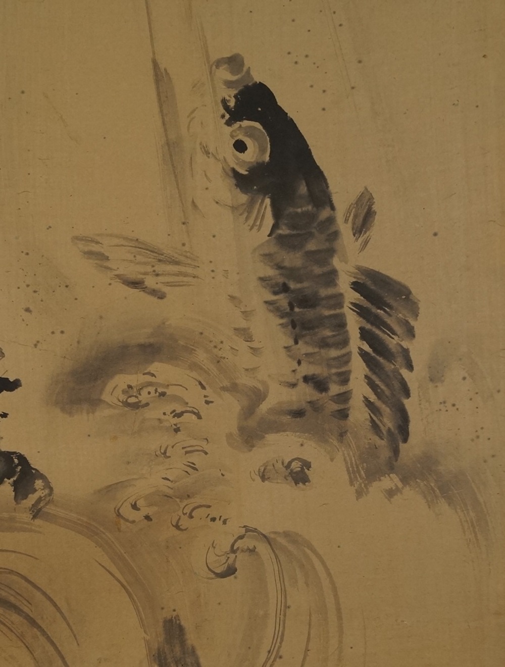 Koi at the Waterfall Koi Close-Up 2