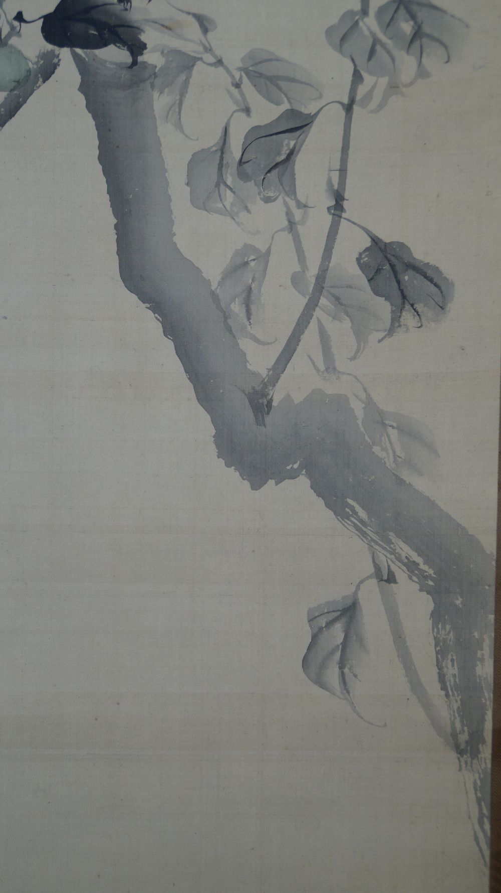 Close-up of the branches and leaves of the persimmon tree without birds in the Kakemono Sparrows at the Fruit Tree