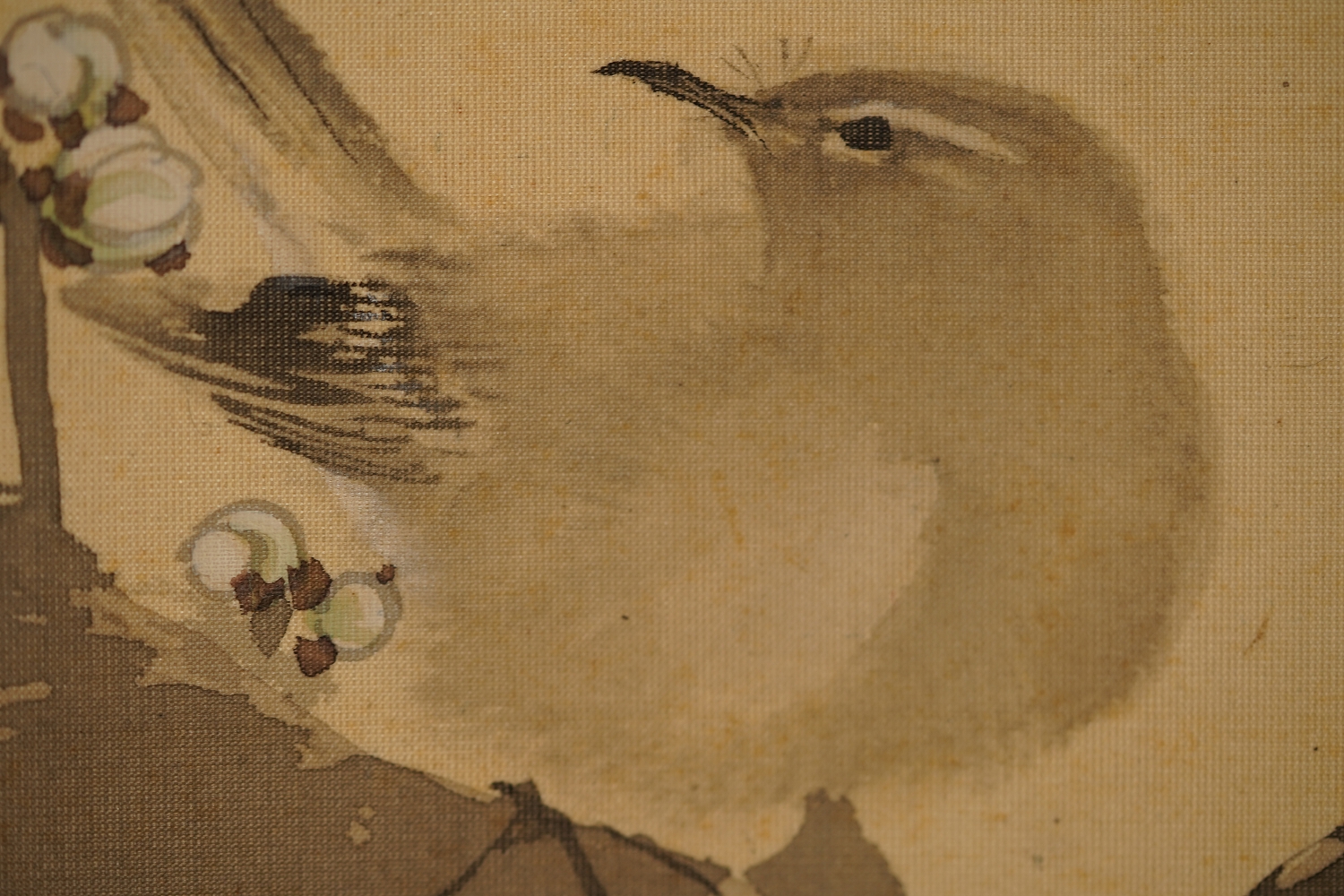 Extreme Close-Up of the Head and Eye of the Songbird in the Hanging Scroll Songbird on Blooming Plum Tree