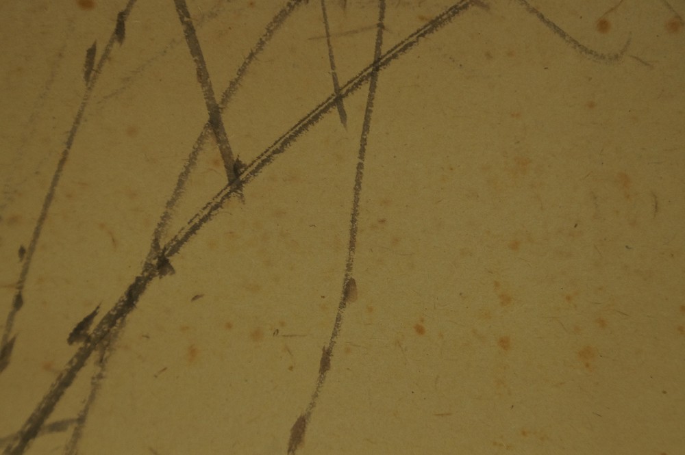 Crow by Ishirei Okada grass motif close-up