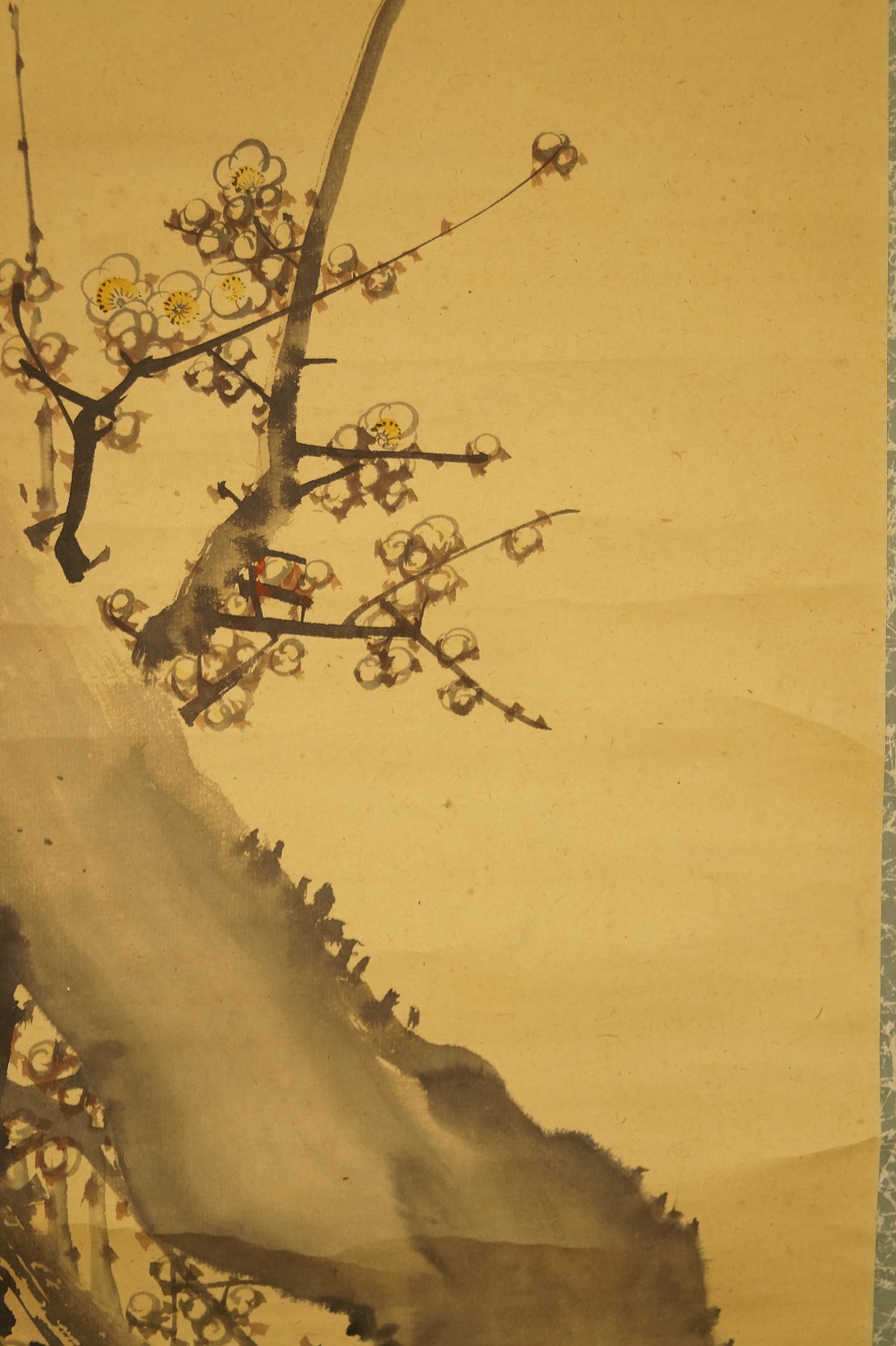 Sakura Plum Blossom Close-Up 1